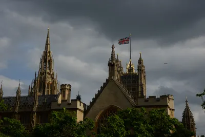 DSC_2823 (Large).JPG